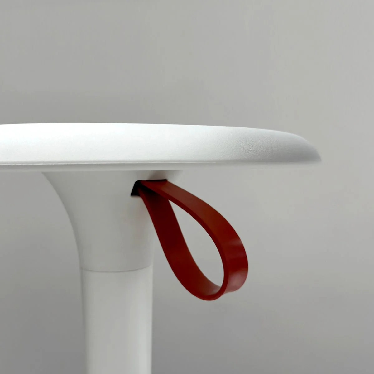 Lio White - Image 6